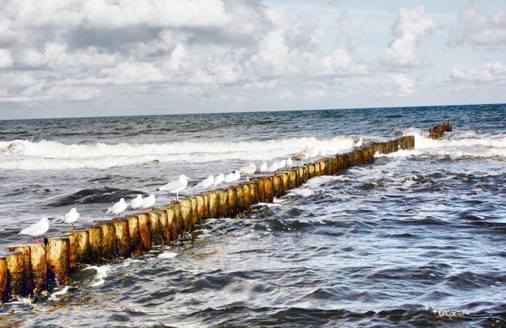 Haus Seegurke Zingst Ngoại thất bức ảnh